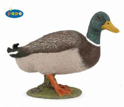 PAPO - CANARD COLVERT #51155